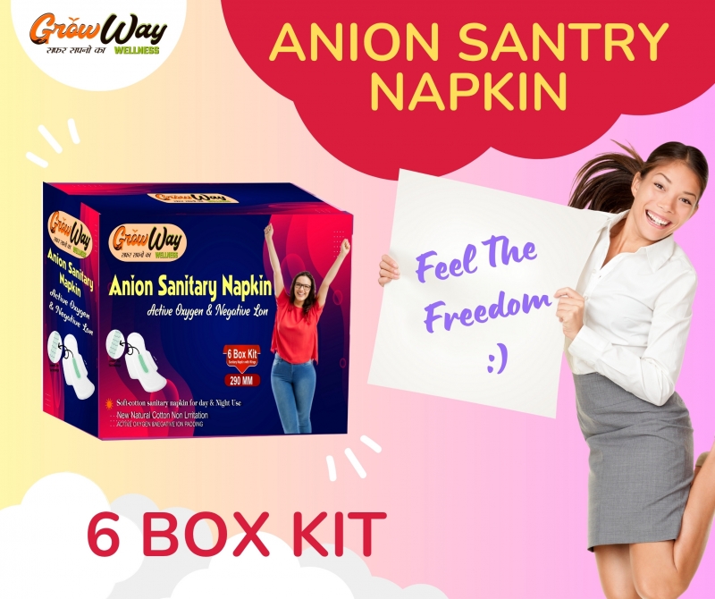Anion santry napkin Pad